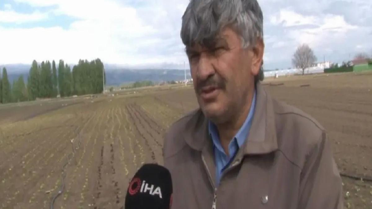 Hava Şartları Meyve Zerzevat Fiyatlarını Etkiliyor