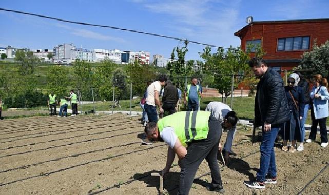 Hayat Bahçesi yaza hazır