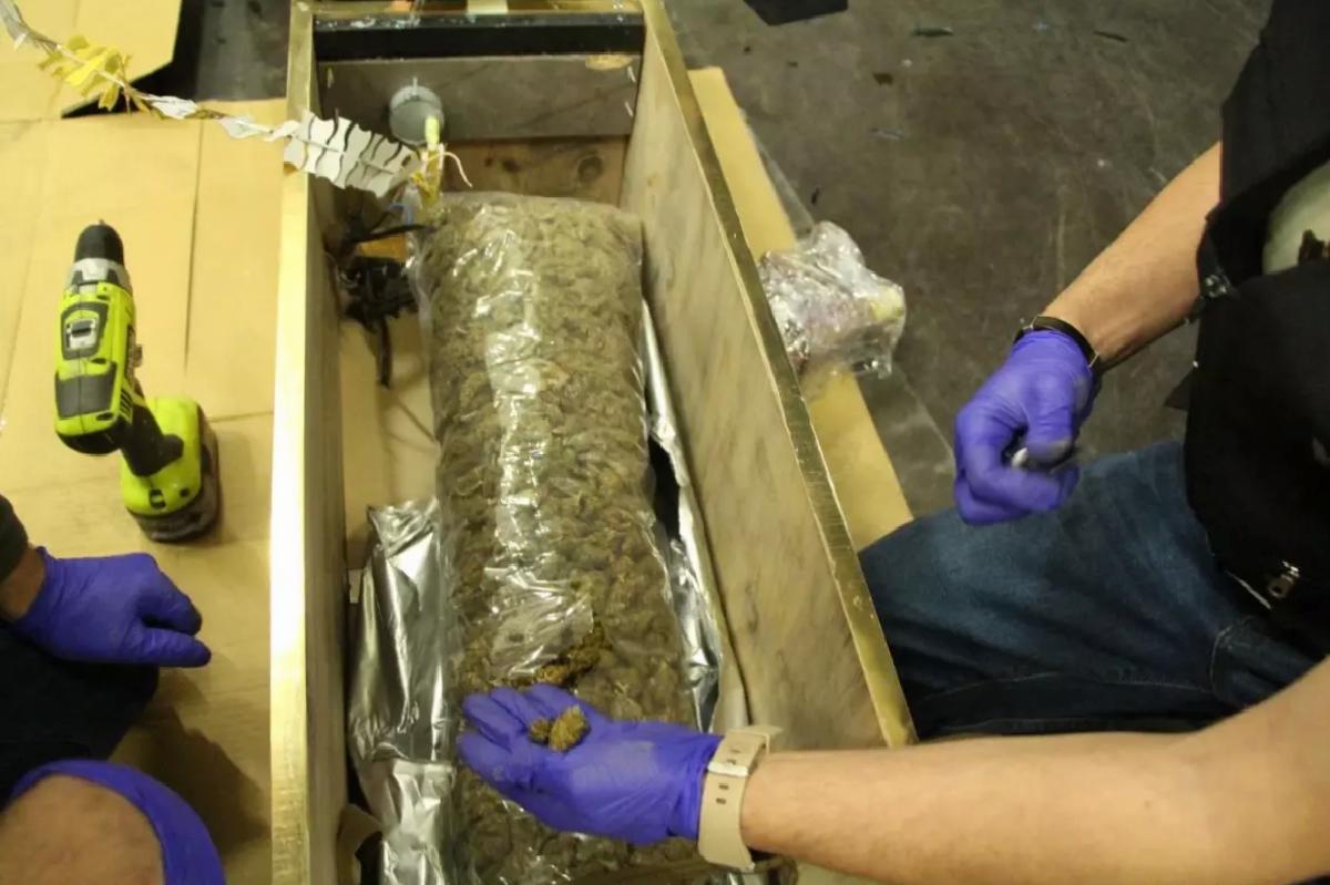 Kapıkule’de 49 Kilo Esrar Ele Geçirildi