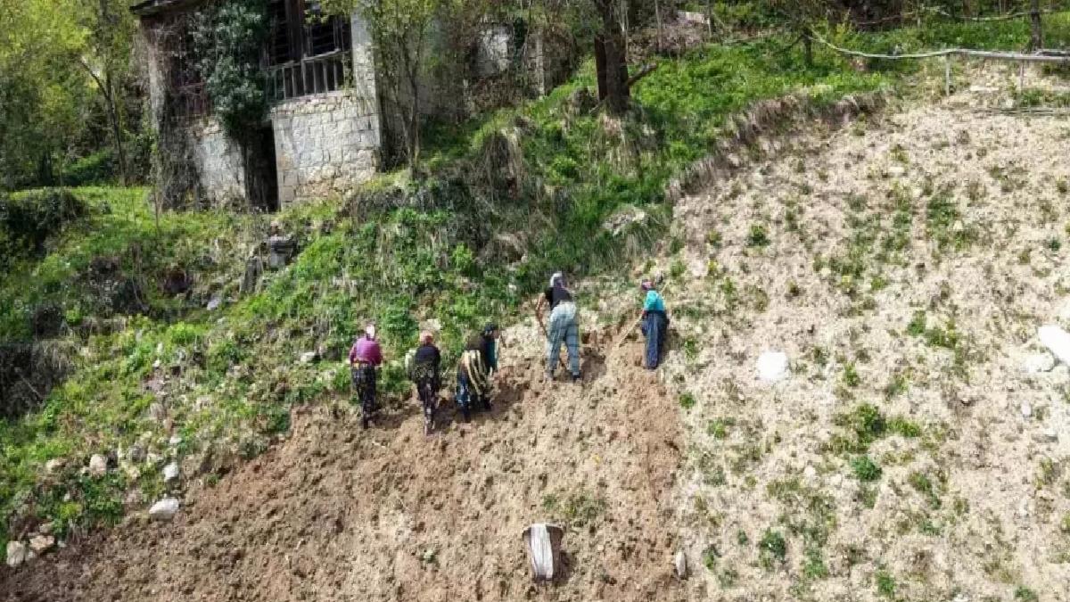 Karadeniz Bayanları Baharla Tarlalarda