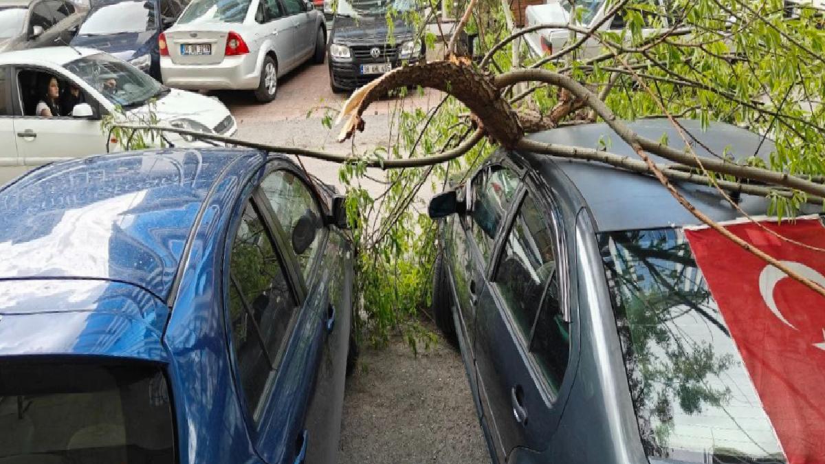 Kayseri’de park halindeki araçların üzerine ağaç kolu düştü