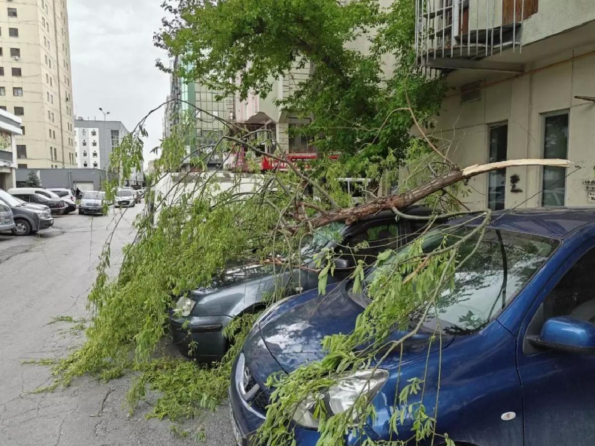 Kayseri’de Rüzgar Arabaları Vurdu