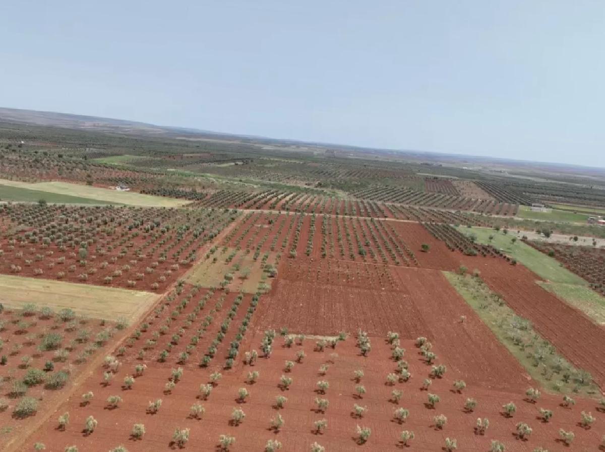 Kilis’te Atık Su ile Tarım Toprakları Sulanacak