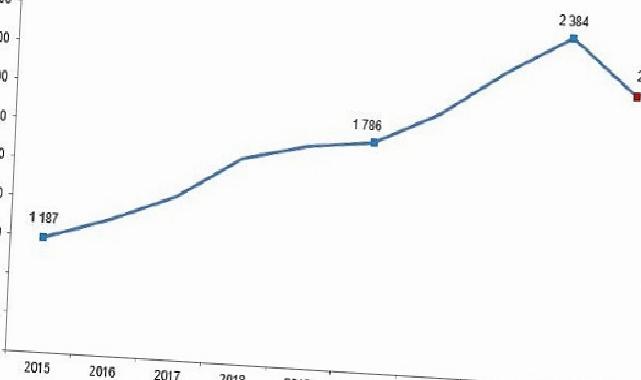 Kırmızı Et Üretim İstatistikleri, 2024