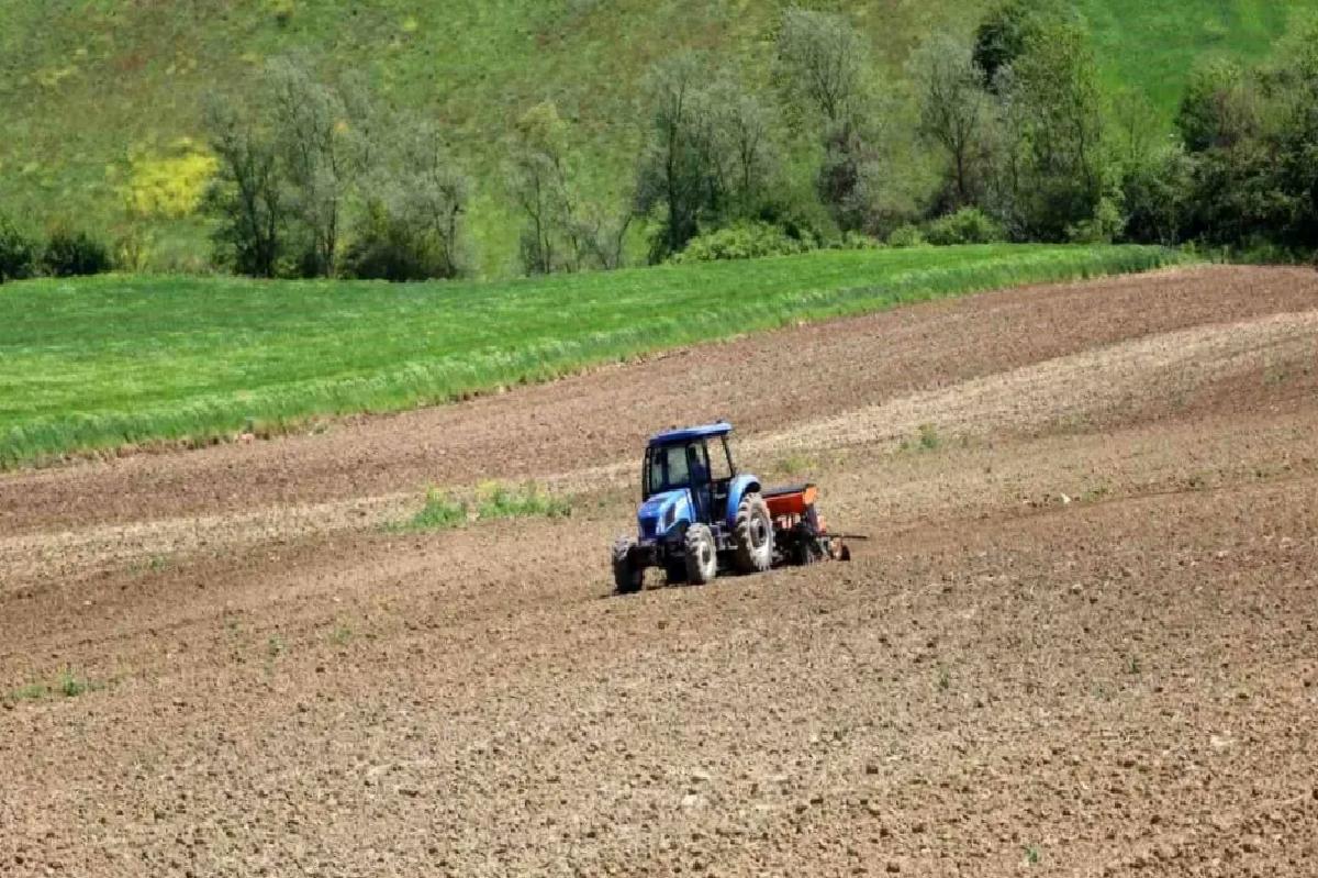 Kocaeli’de Çiftçilere Yüzde 50 Hibeli Mısır Tohumu ve Gübre Dayanağı