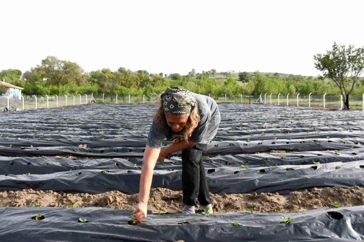 Korona sonrası tarıma yöneldiler