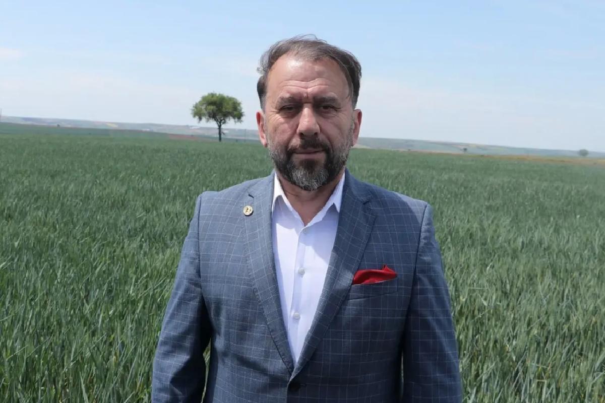 Kuraklık Buğday Rekoltesini Tehdit Ediyor
