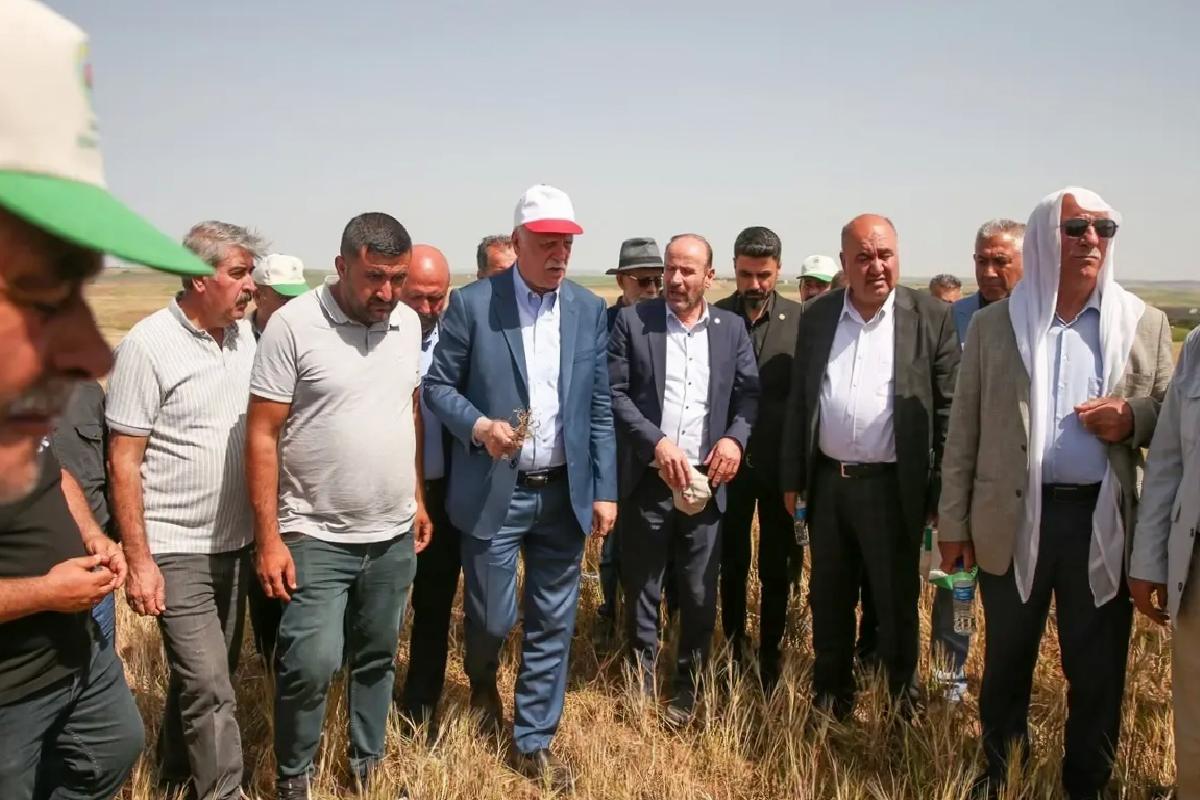 Kuraklık Diyarbakır’da Tarımı Tehdit Ediyor