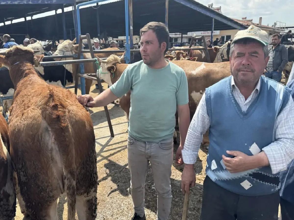 Kurban Bayramı için Hayvan Pazarı Hareketlendi