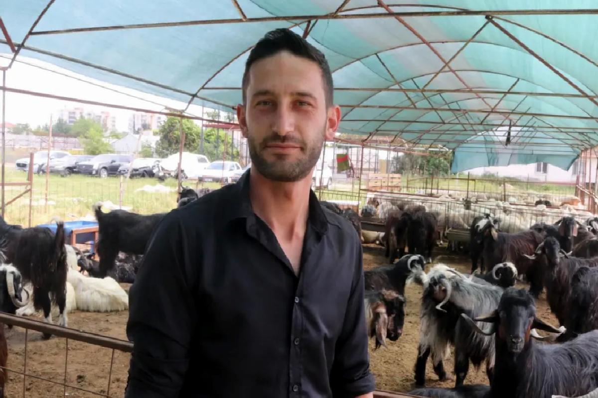 Kurban Pazarında Fiyatlar Sabit Kalıyor