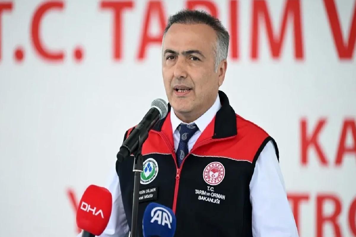 Kurbanlık Hayvan Kâfi