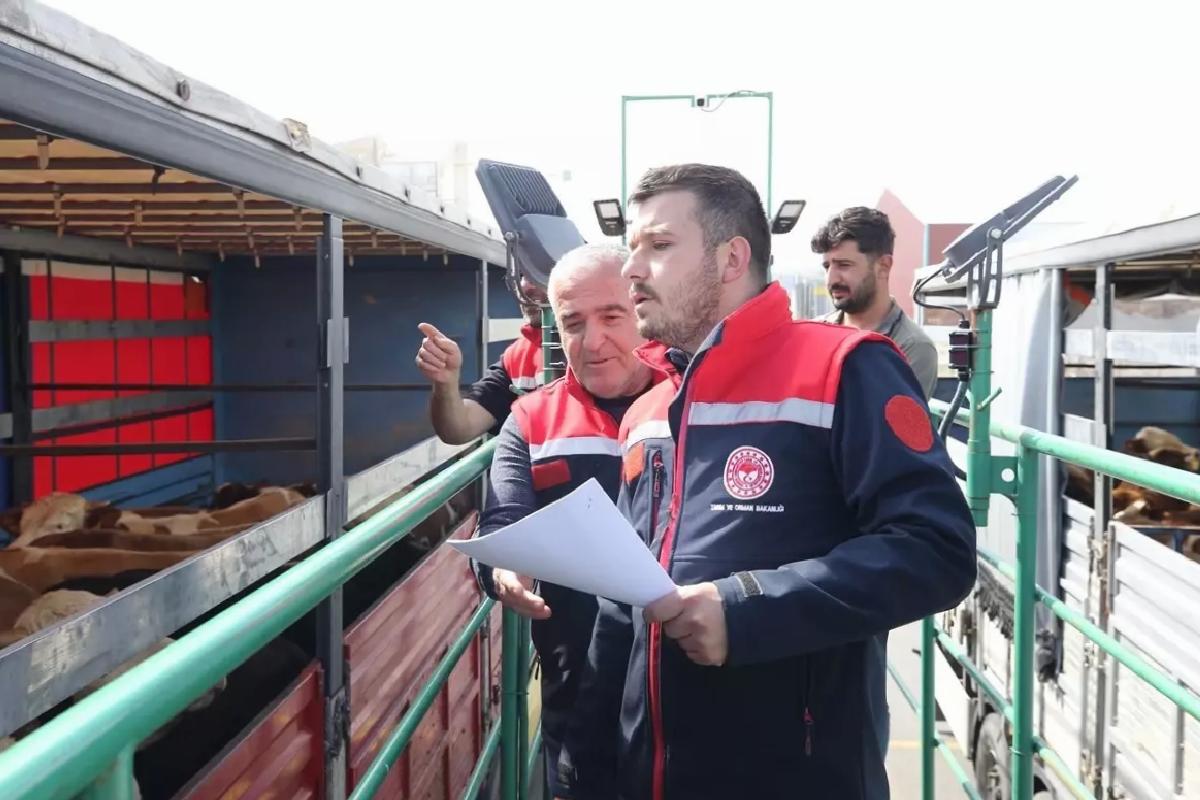Kurbanlık Hayvan Sevkiyatına Denetim