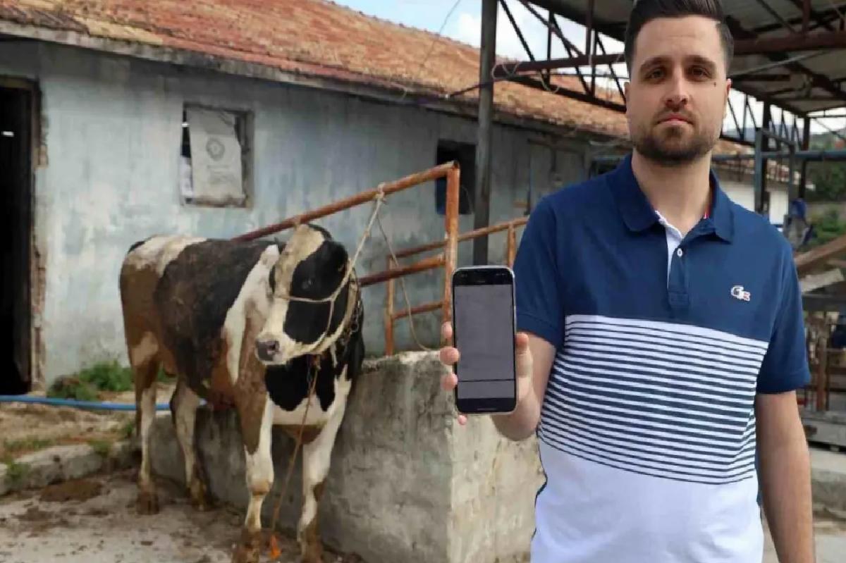 Kurbanlık Tosun Alırken 200 Bin TL Dolandırıldılar