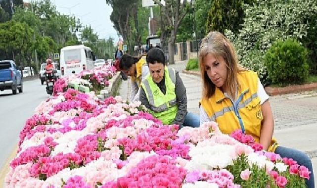 Lider Çerçioğlu Efeler’i Bahar Çiçekleri ile Süsledi