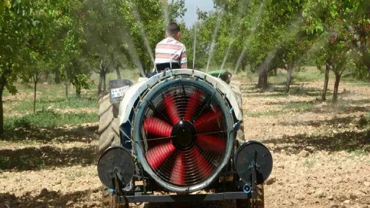 Malatya Kayısı Bahçeleri Yine Yeşeriyor