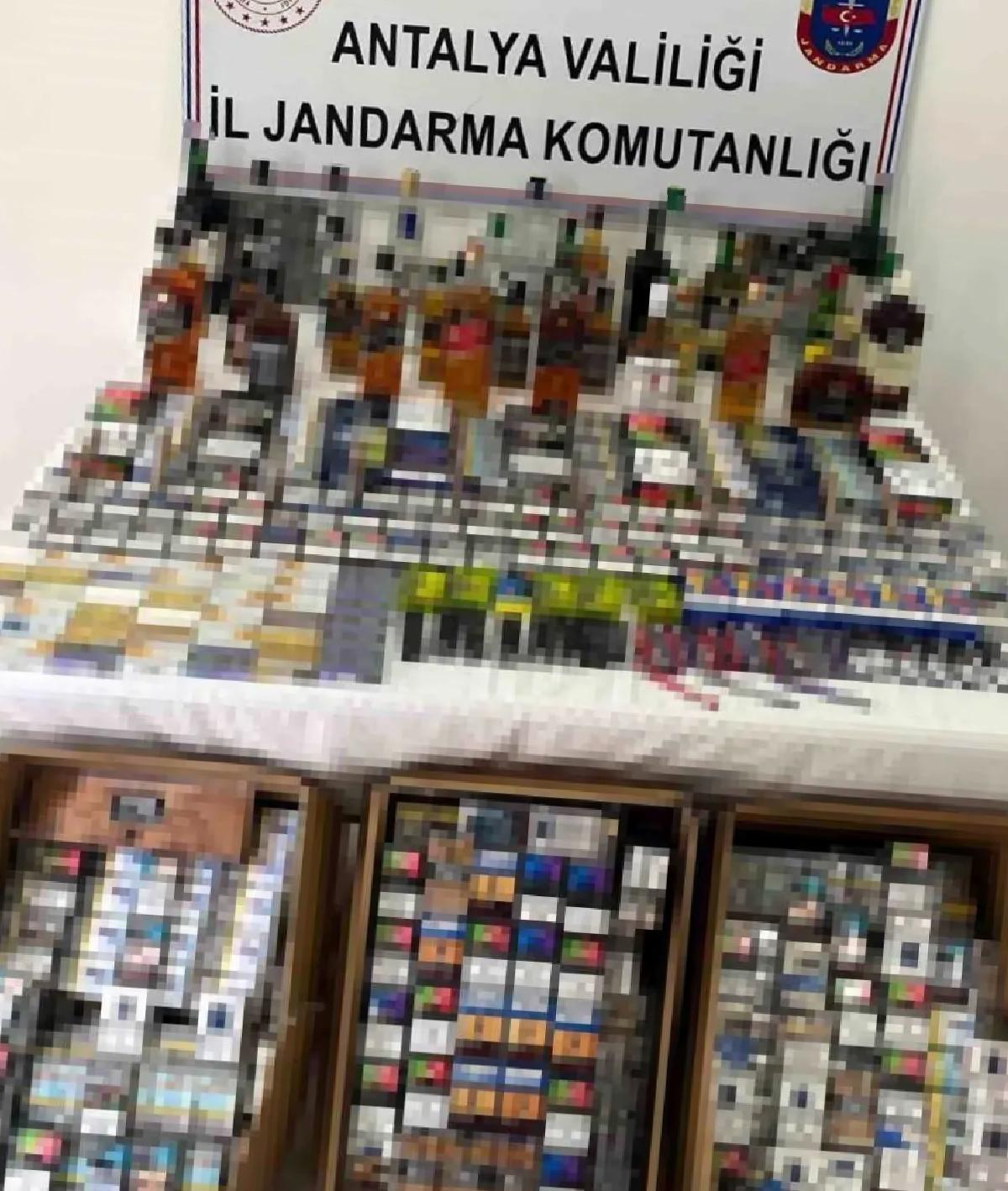 Manavgat’ta Kaçak Eser Operasyonu