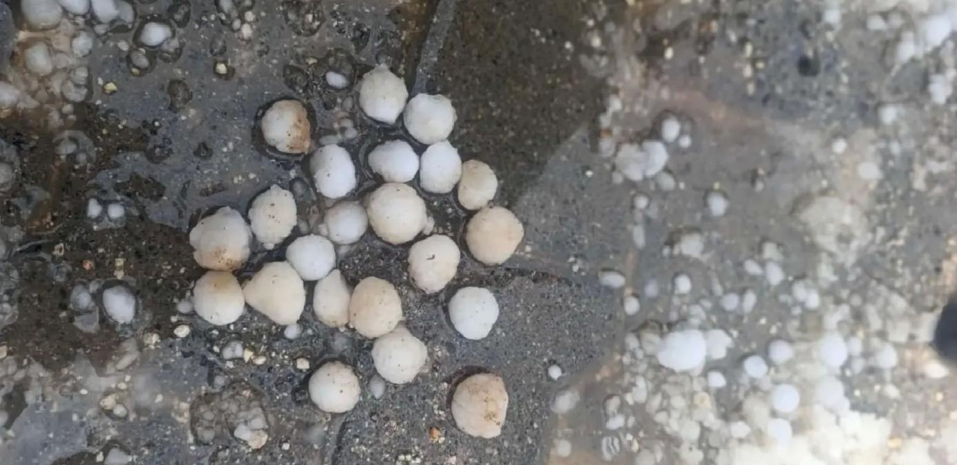 Mardin’de Dolu Yağışı Tarımı Vurdu