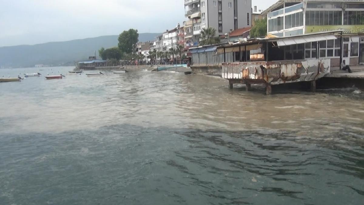 Marmara’nın turistik Gemlik körfezi müsilajla kaplandı