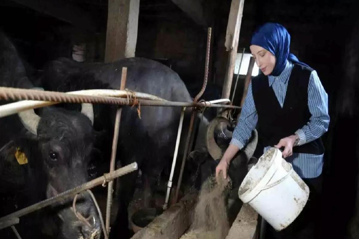 Mart’ta Süt Üretiminde Artış