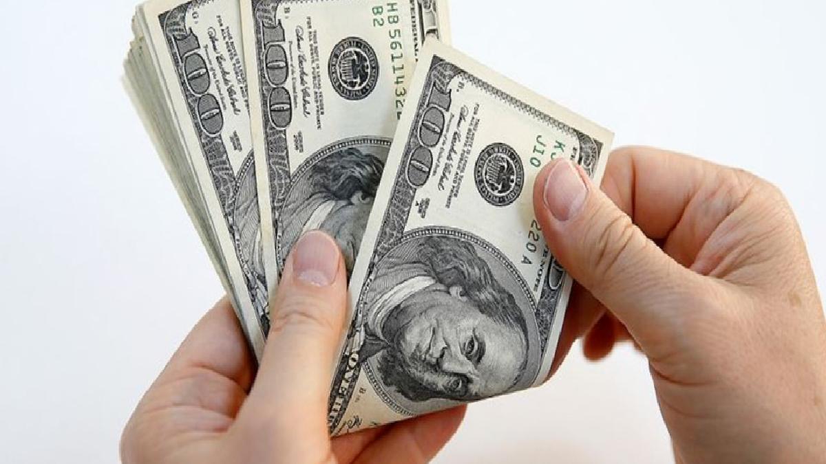 Merkez Bankası rezervleri 138 milyar 532 milyon dolar oldu