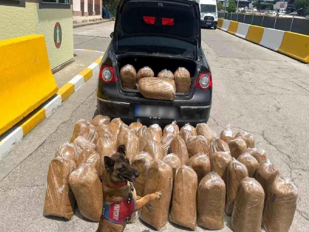 Mersin’de Kaçak Tütün ve Makaron Operasyonu