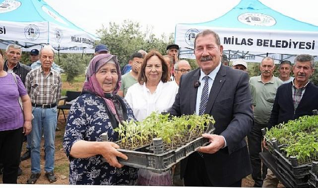 Milas Belediyesi, cet tohumlarını yaşatmak için üreticilere fide dağıtımı gerçekleştirdi