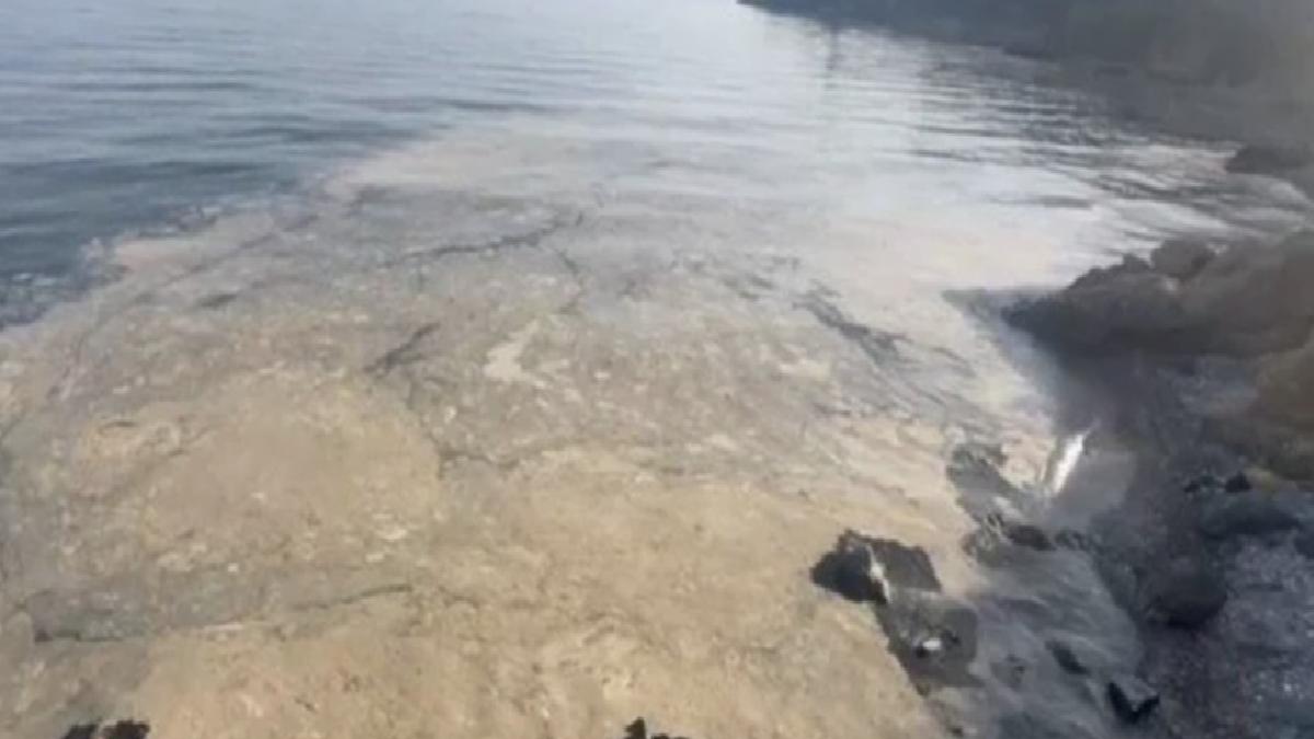 Müsilaj tekrar Gemlik Körfezi’nde