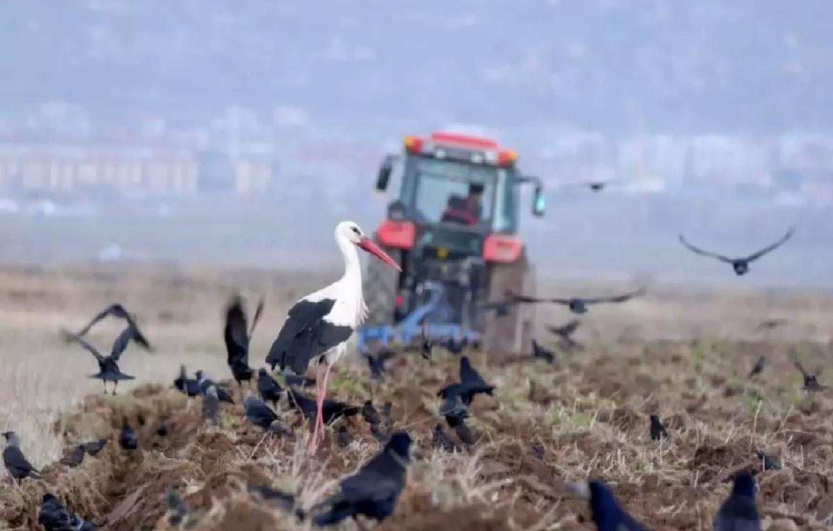 Nisan’da Türkiye’de 191 bin araç kaydedildi