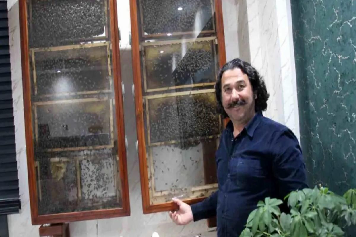 Ofisinde Arı Kovanı Kurdu
