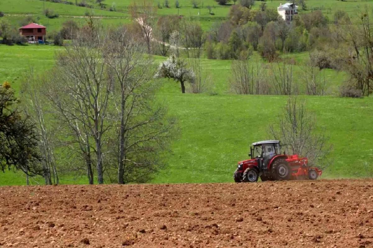 Ordu’da Atıl Yerler Karabuğday ile Tarıma Kazandırılıyor