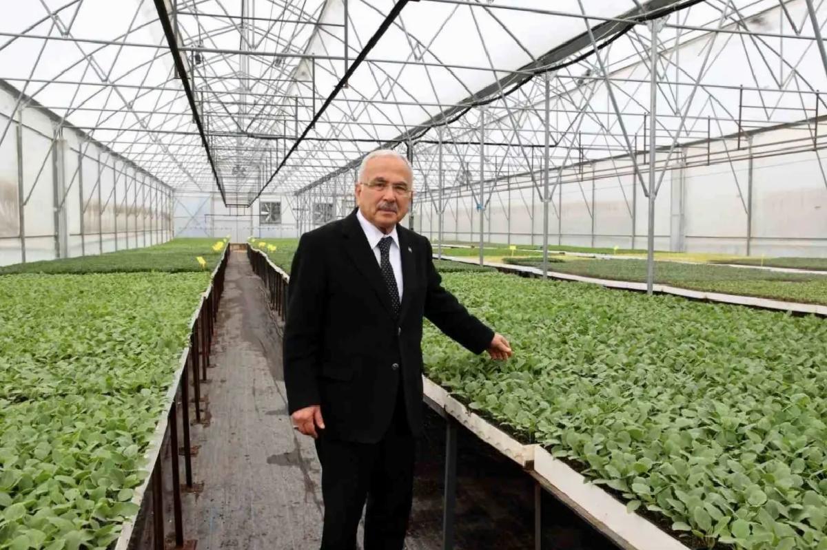 Ordu’da Ziraî Üretim Atağı: 4 Milyon Fide Dağıtıldı