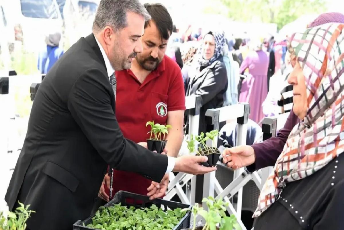 Pursaklar Belediyesi, 4. Klâsik Cet Tohumu Fide Dağıtımını Gerçekleştirdi