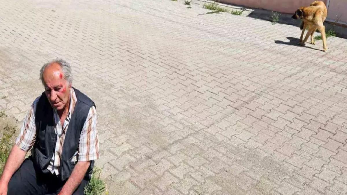 Salda Köyü’nde Yaşlı Adam Sokak Köpeklerinin Saldırısına Uğradı