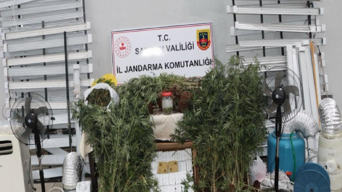 Samsun’da internette izlediği görüntülerle konutunu uyuşturucu serasına çevirdi