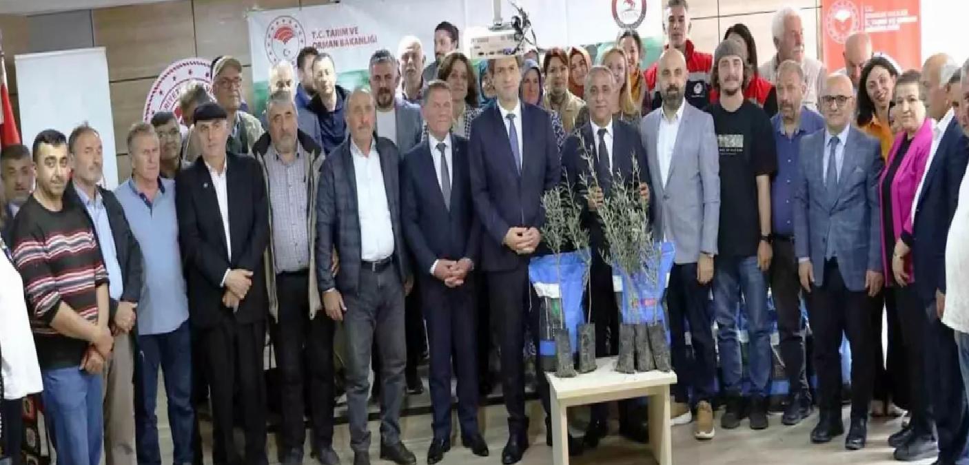 Samsun’da Sorgum Tohumları Dağıtıldı