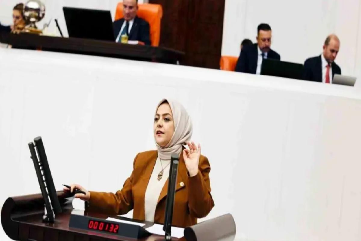 Sema Silkin Ün: Bütçe Açığı İstihdam Sorunu