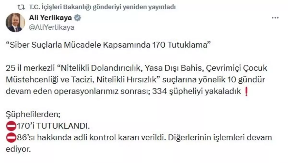 Siber Kabahat Operasyonunda 334 Gözaltı
