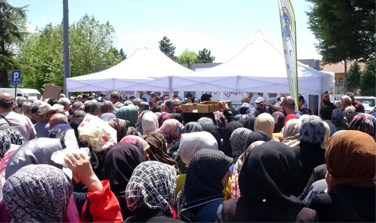 Tavşanlı’da Fiyatsız Fide Dağıtımında İzdiham