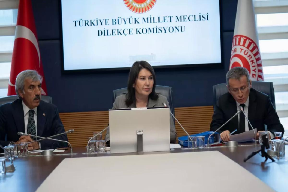 TBMM Dilekçe Kurulu’na 18 bin 949 müracaat yapıldı