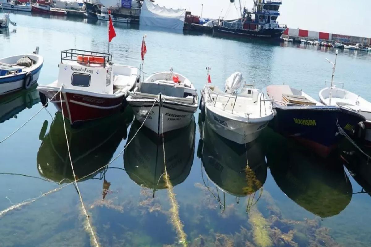 Tekirdağ’da Balıkçılar Denize Açıldı