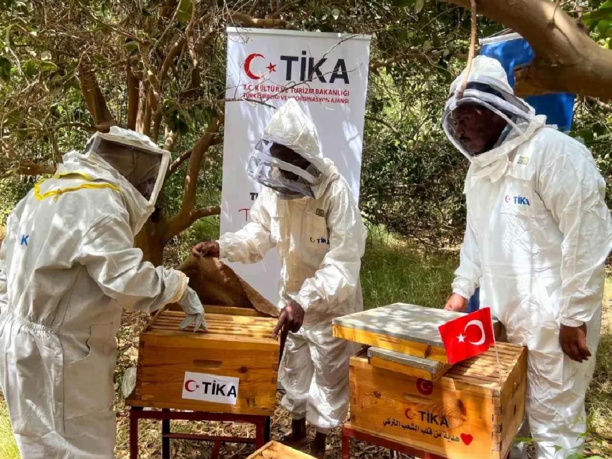 TİKA, Sudan’da Arıcılığa Dayanak Verdi