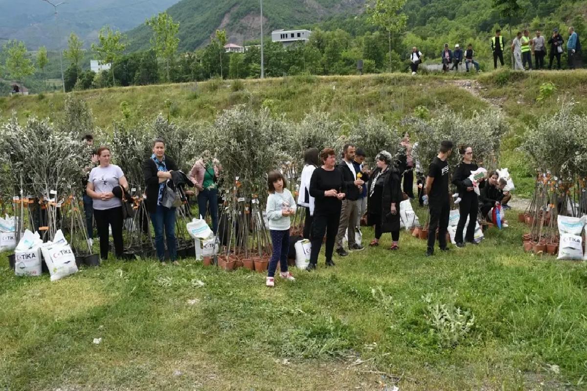 TİKA’dan Arnavutlara Zeytin Fidanı Takviyesi