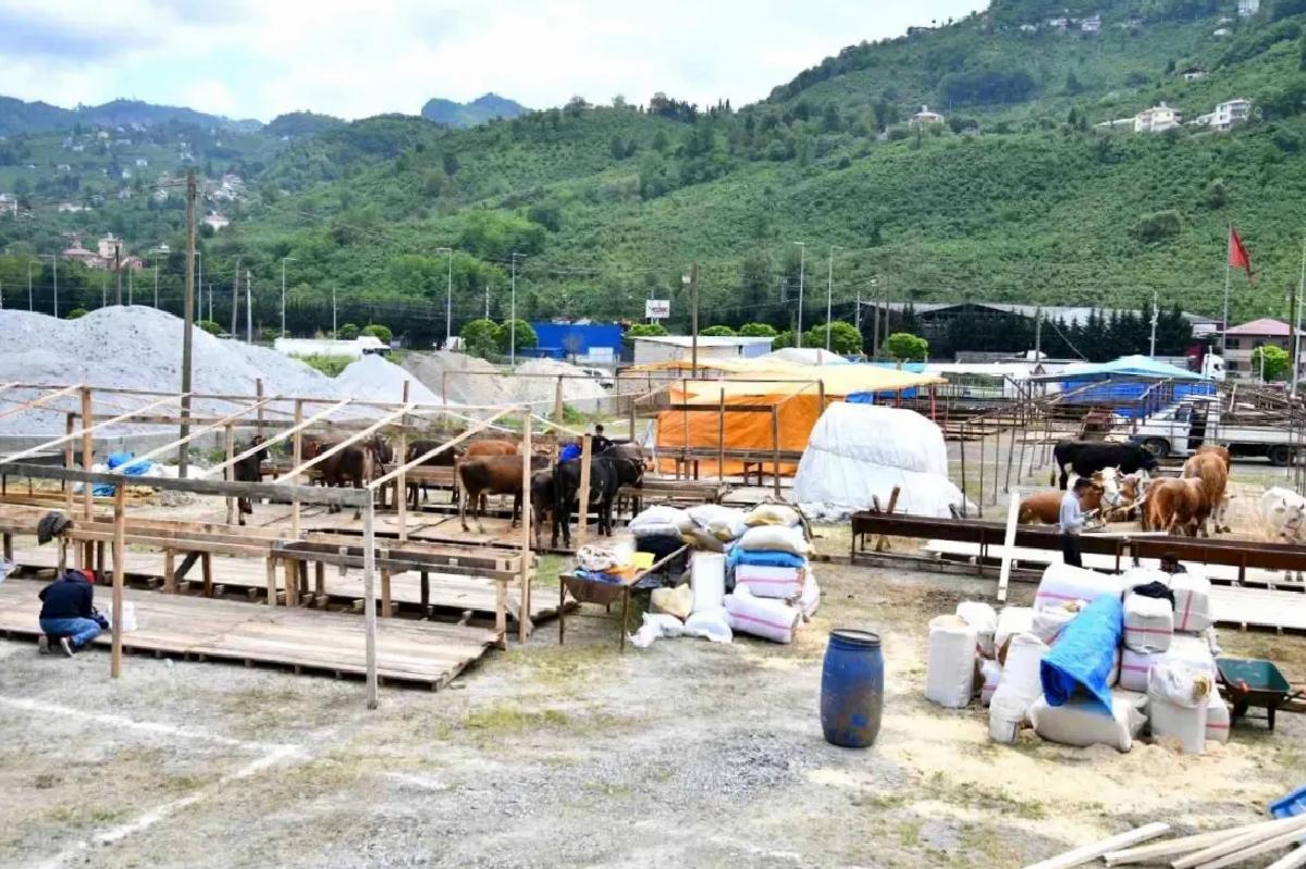 Trabzon’da Kurban Bayramı İçin Hazırlıklar Tamamlandı