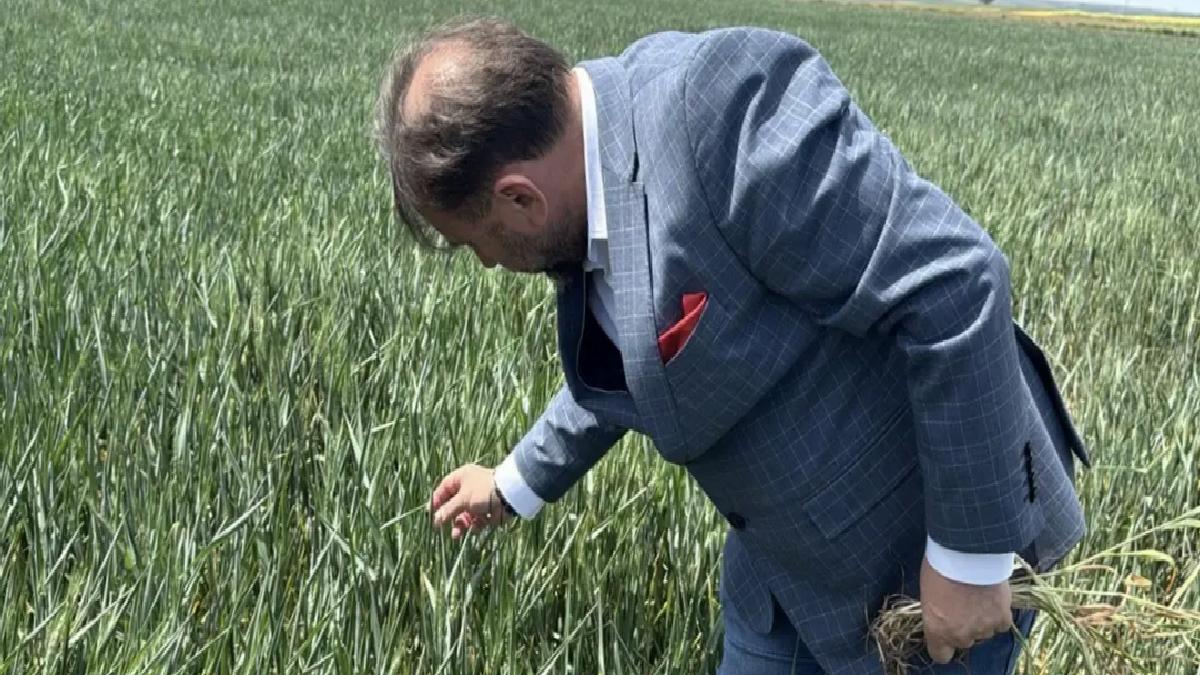 Trakya’da Kuraklık Tehlikesi