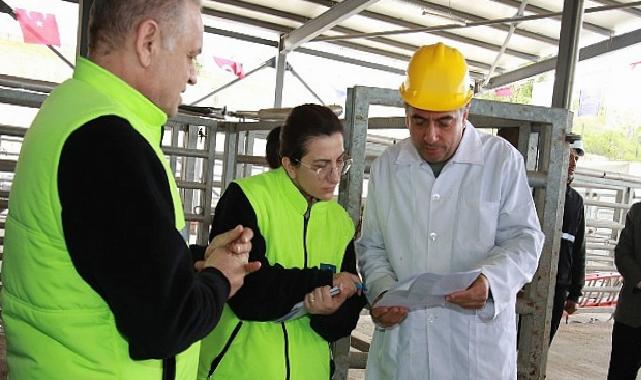 TSE’den Büyükşehir mezbahasına tam not