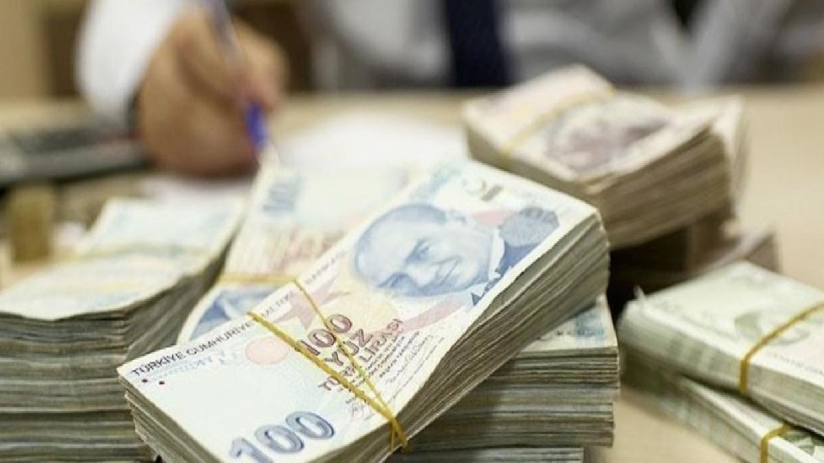 Türk Lirası’nı destekleyecek yeni adımlar