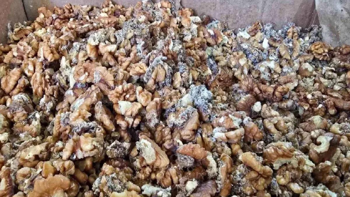 Urfa Yörem Baklavaları’nın Bozuk Ceviz Krizi: 11 Ton mu 3 Ton mu?