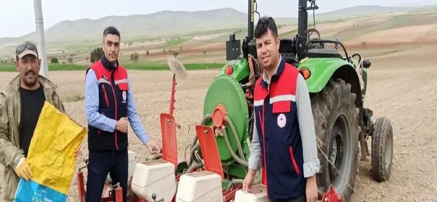 Yerli Tohumların Yaygınlaştırılması