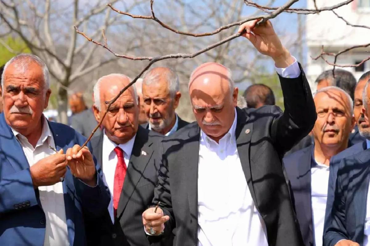 Zirai Don Felaketi Meyve Bahçelerini Vurdu